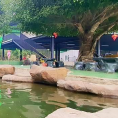 Vườn sinh thái trải nghiệm Eo Gió