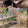 Khu sinh thái Mường Thanh Safari Diễn Lâm