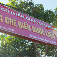 Vườn dược liệu Pù Mát