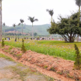 Khu du lịch Hòn Mát