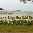 Thung lũng hoa Phủ Quỳ
