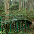 Rừng Săng Lẻ