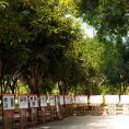 Khu lưu niệm Chủ tịch Hồ Chí Minh tại Kim Liên