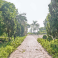 Đền Cả