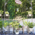 Phố đi bộ Thành phố Vinh