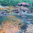 Suối cá khe Tọ