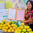 Lễ hội cam Vinh
