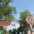 Vườn rừng sinh thái Làng Xanh