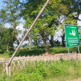 Vườn rừng sinh thái Làng Xanh