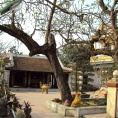 Lễ hội Đức thánh Yên Lâm