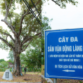 Sân vận động Làng Sen, Đền Làng Sen