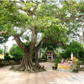 Cụm Di tích Đền Chùa Bùi Ngọa