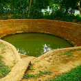Quê nội Bác