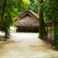 Quê nội Bác