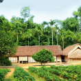 Quê nội Bác