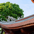 Nhà tưởng niệm Chủ tịch Hồ Chí Minh, nhà trưng bày bổ sung