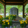 Lễ hội Đền Vua Mai