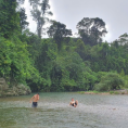 Bãi tắm Cây Sung 