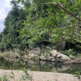 Bãi tắm Cây Sung 