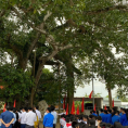 Lễ hội Cây đa làng Trù