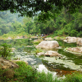 Rừng nguyên sinh Khe Rỗ