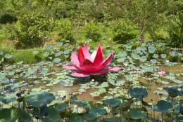 Khu du lịch sinh thái Đại Huệ