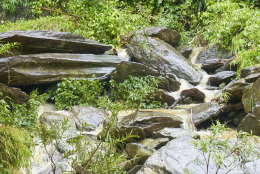 Thác Tiên, Quỳ Hợp