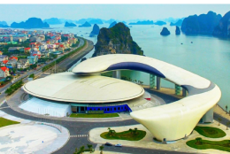 Cung cá heo Hạ Long