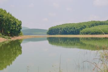 Hồ đập Vệ Vừng