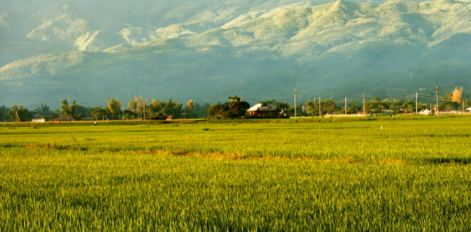 Bản Đêu