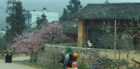 Phó Bảng