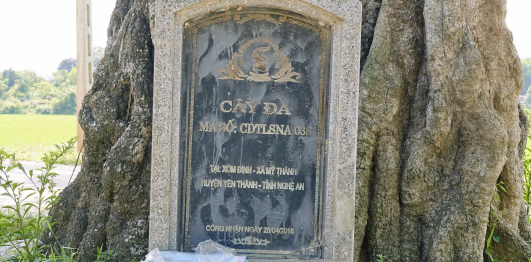 Lễ hội Đền Đức Hoàng