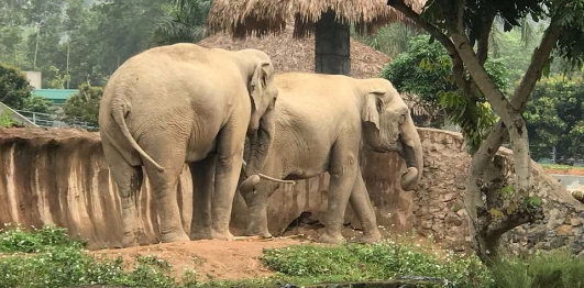 Khu sinh thái Mường Thanh Safari Diễn Lâm