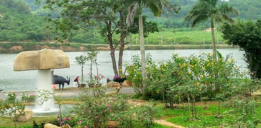 Thung lũng hoa Phủ Quỳ