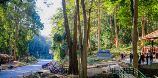 Rừng Săng Lẻ