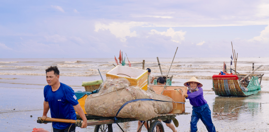 Bãi biển Diễn Hải