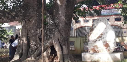Hang Rú Ẩm và Cây đa làng trù