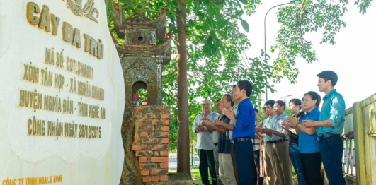 Hang Rú Ẩm và Cây đa làng trù
