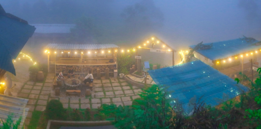 Trương Gia Farm