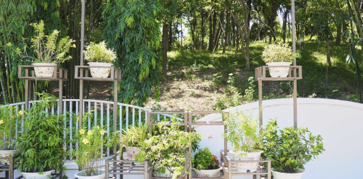 Phố đi bộ Thành phố Vinh