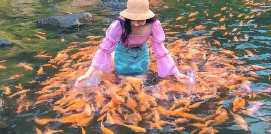 Suối cá khe Tọ