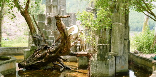 Hồ đập Vệ Vừng