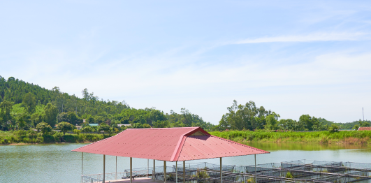 Khu du lịch sinh thái Đại Huệ