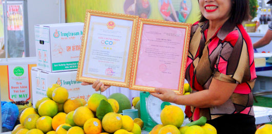 Lễ hội cam Vinh