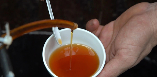 Làng nghề nước mắm cổ truyền Hải Giang 1