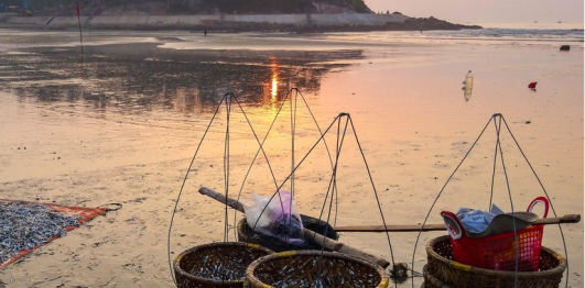 Bãi biển Quỳnh Phương
