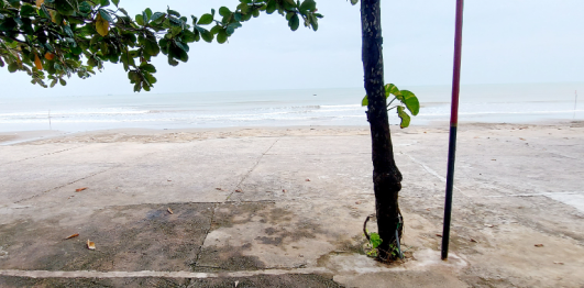 Bãi biển Quỳnh Phương