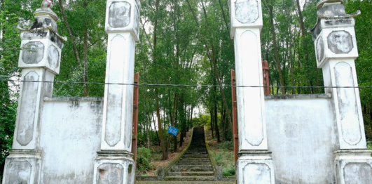 Mộ Nguyễn Thiếp