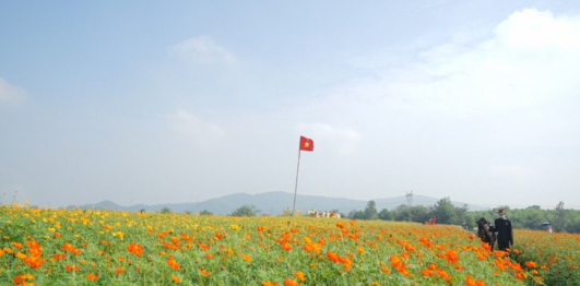 Đồi Hoa Xuân