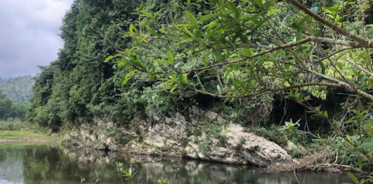 Bãi tắm Cây Sung 